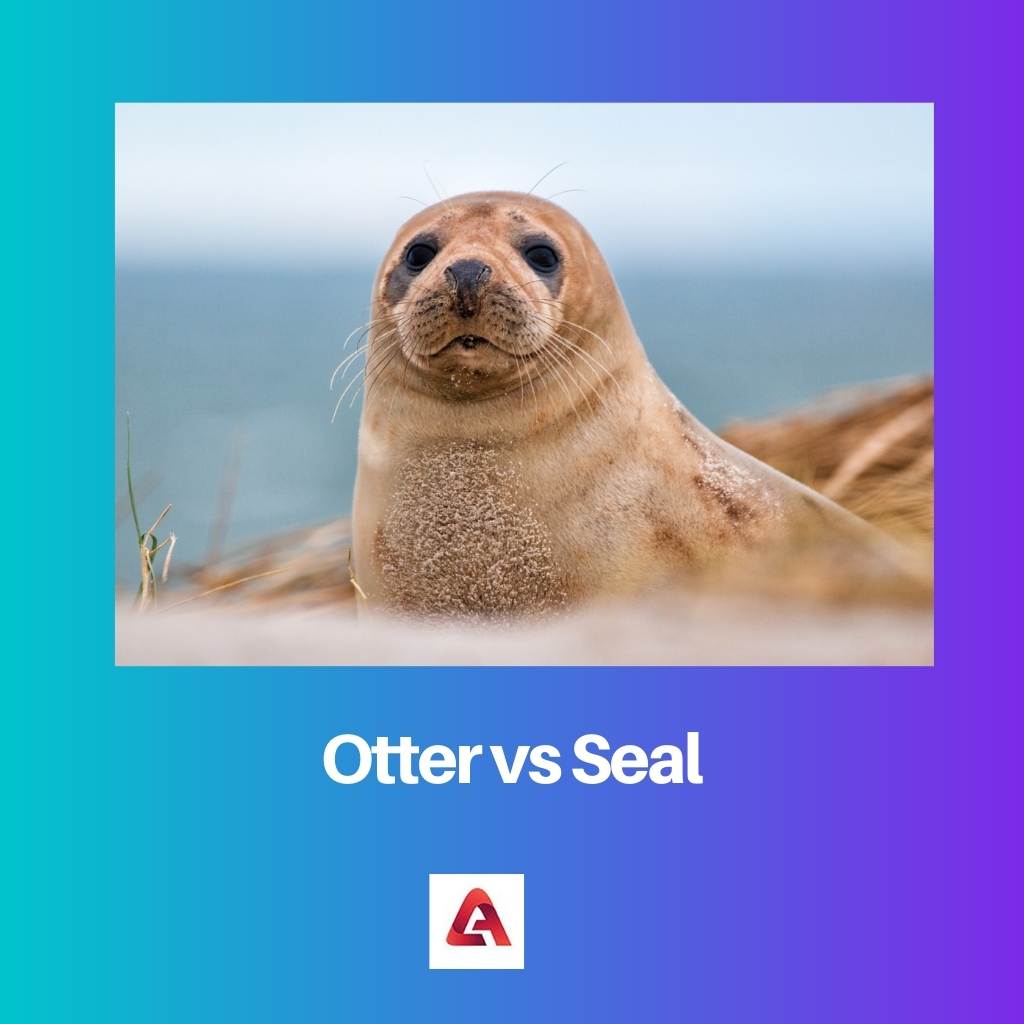 Otter versus zeehond
