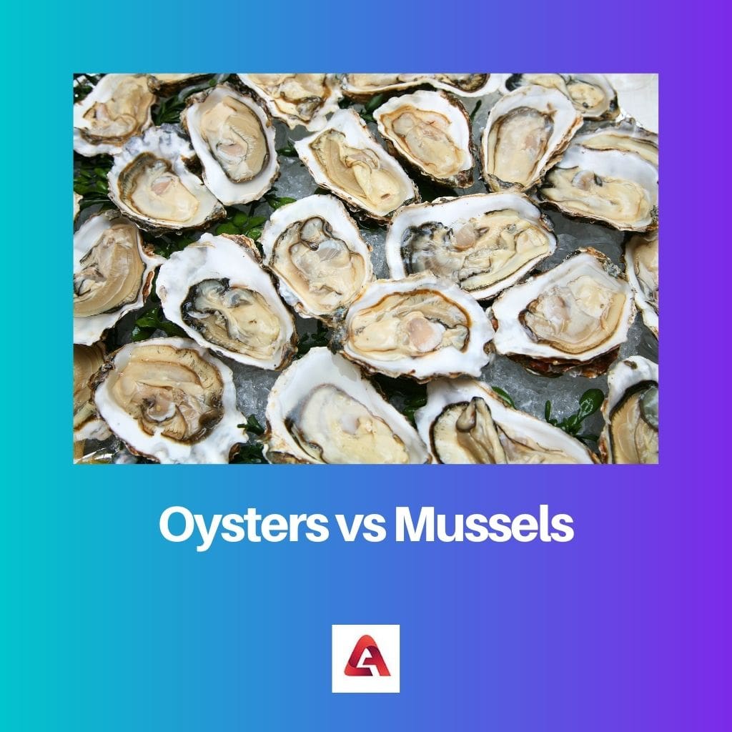 Oysters vs Mussels