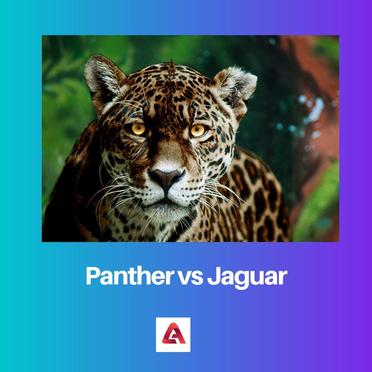 jaguar vs panther