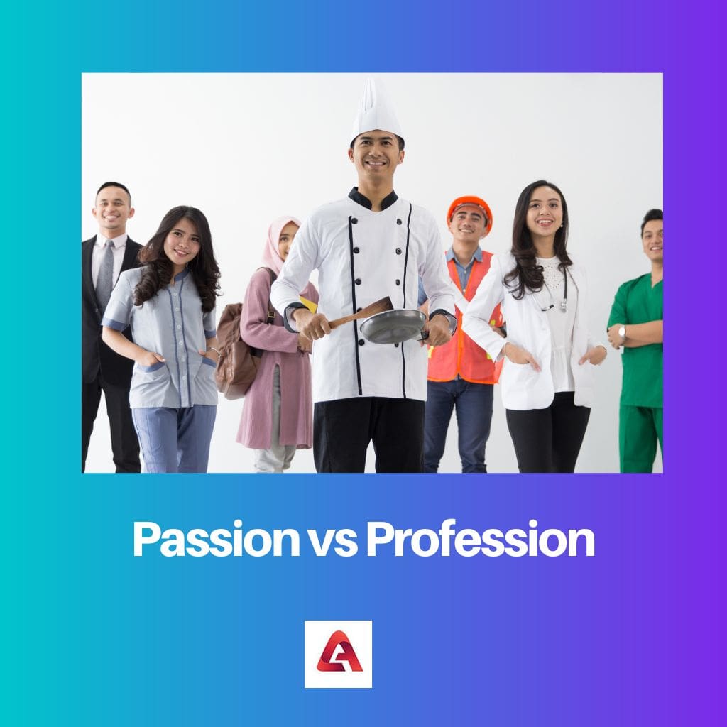 Vášeň vs profese