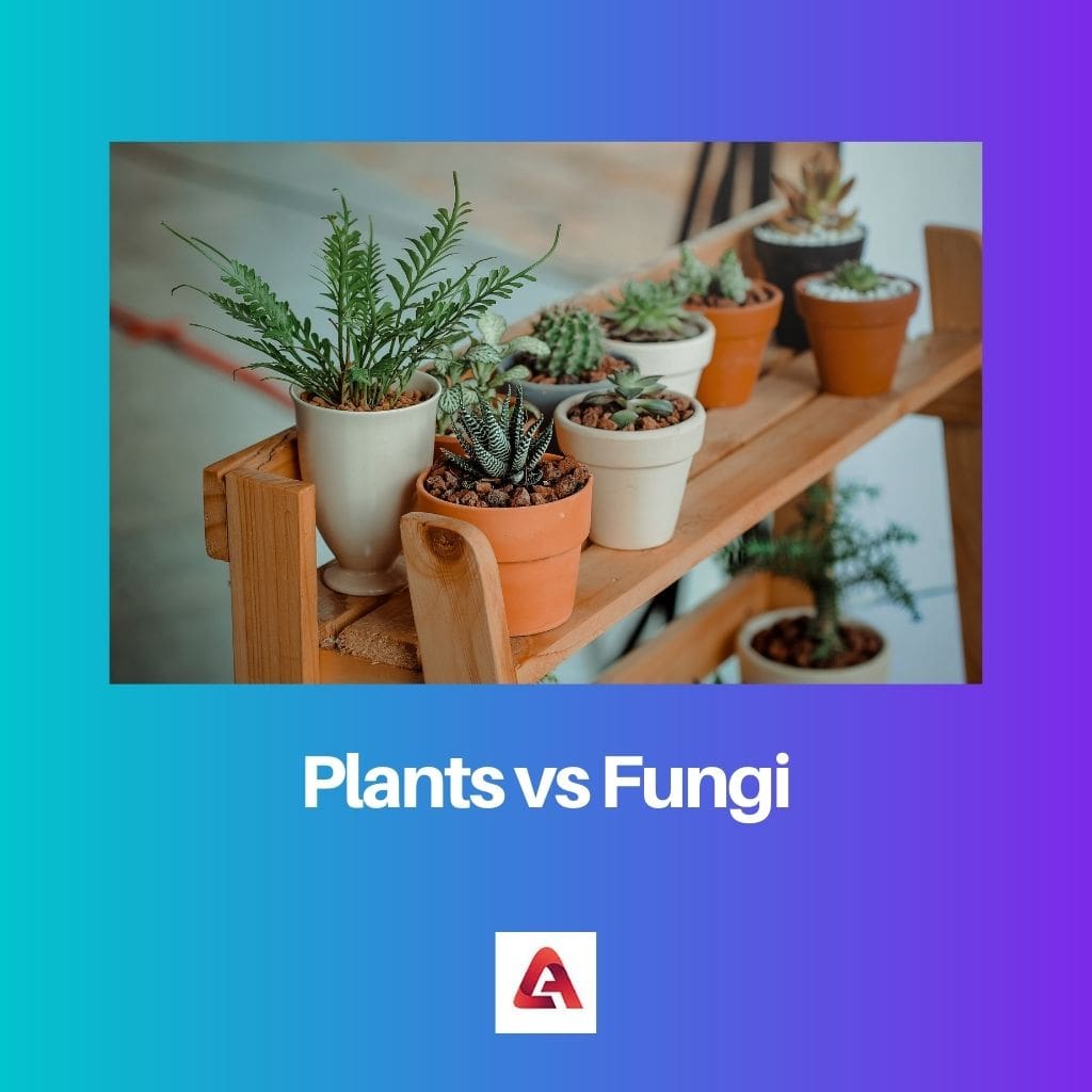 Planter vs svampe