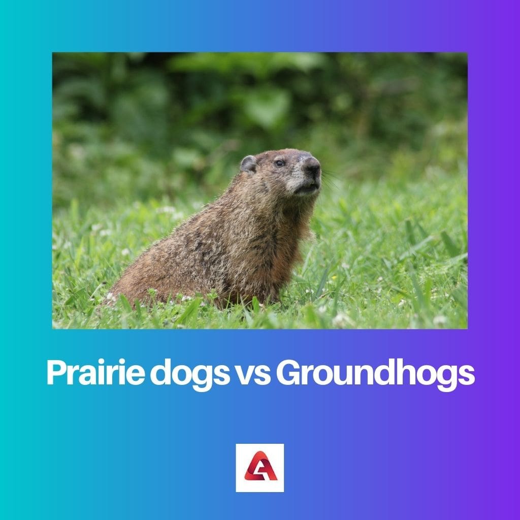 Prairie dogs vs Groundhogs