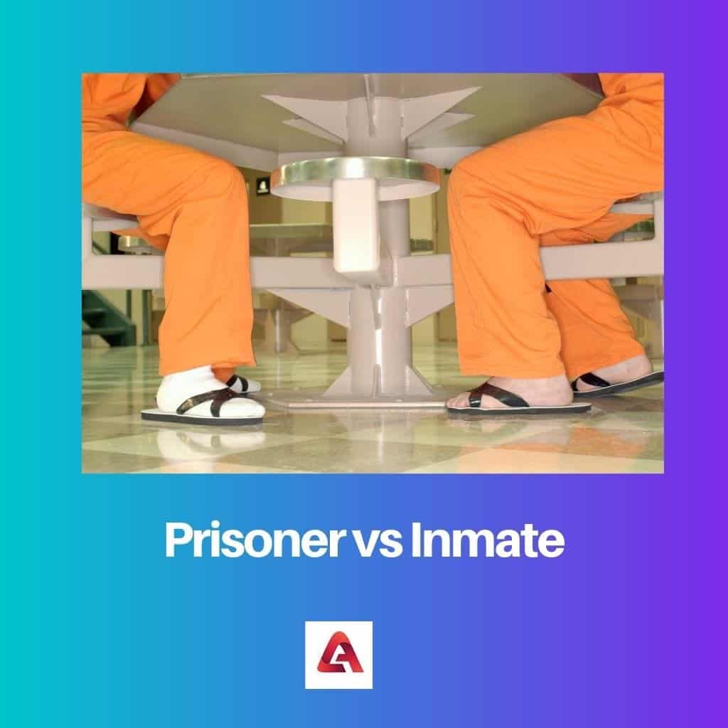 difference-between-prisoner-and-inmate