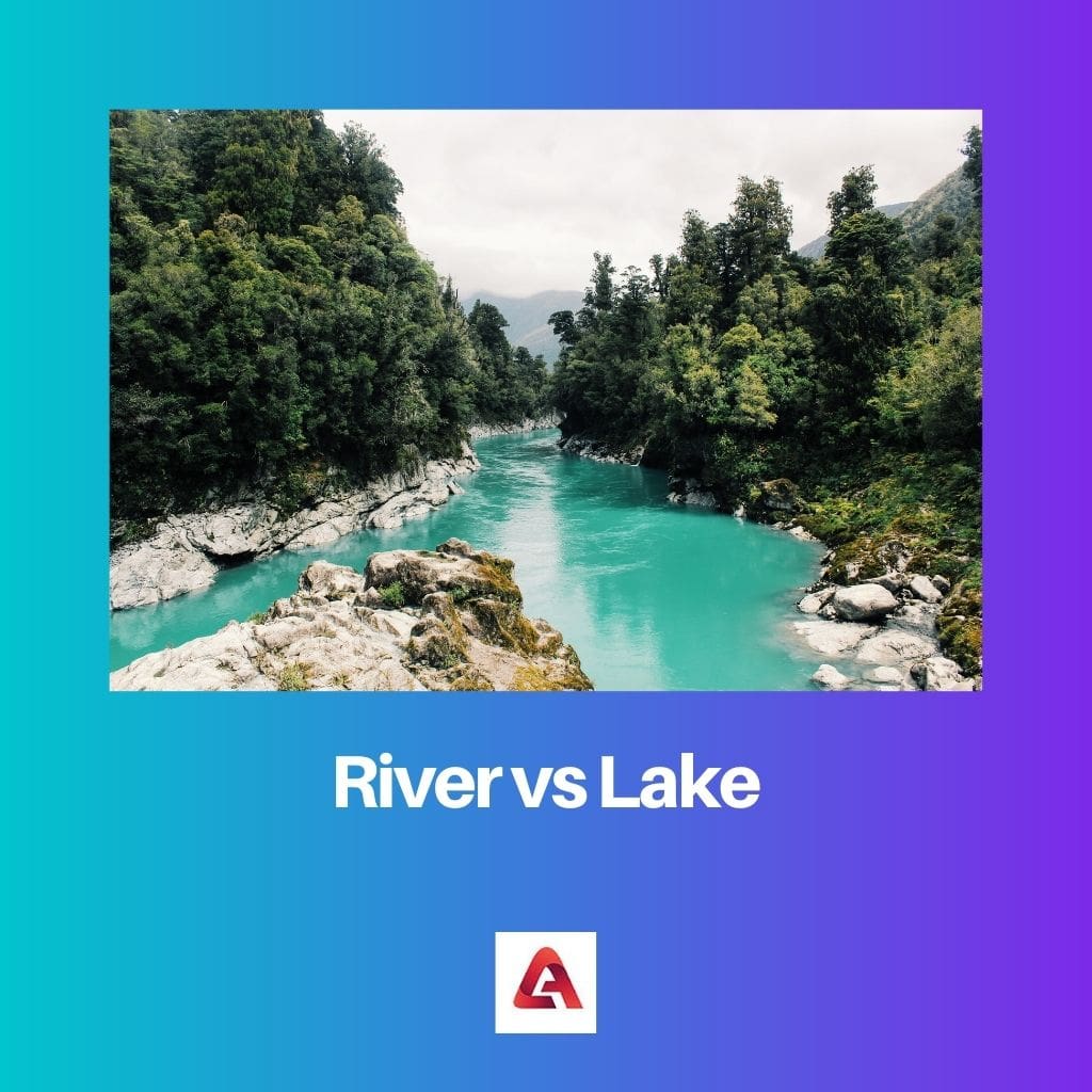 Річка проти озера