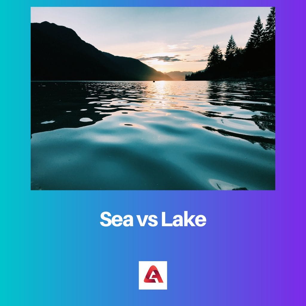 Море против озера