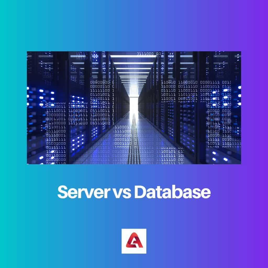 Server vs databáze