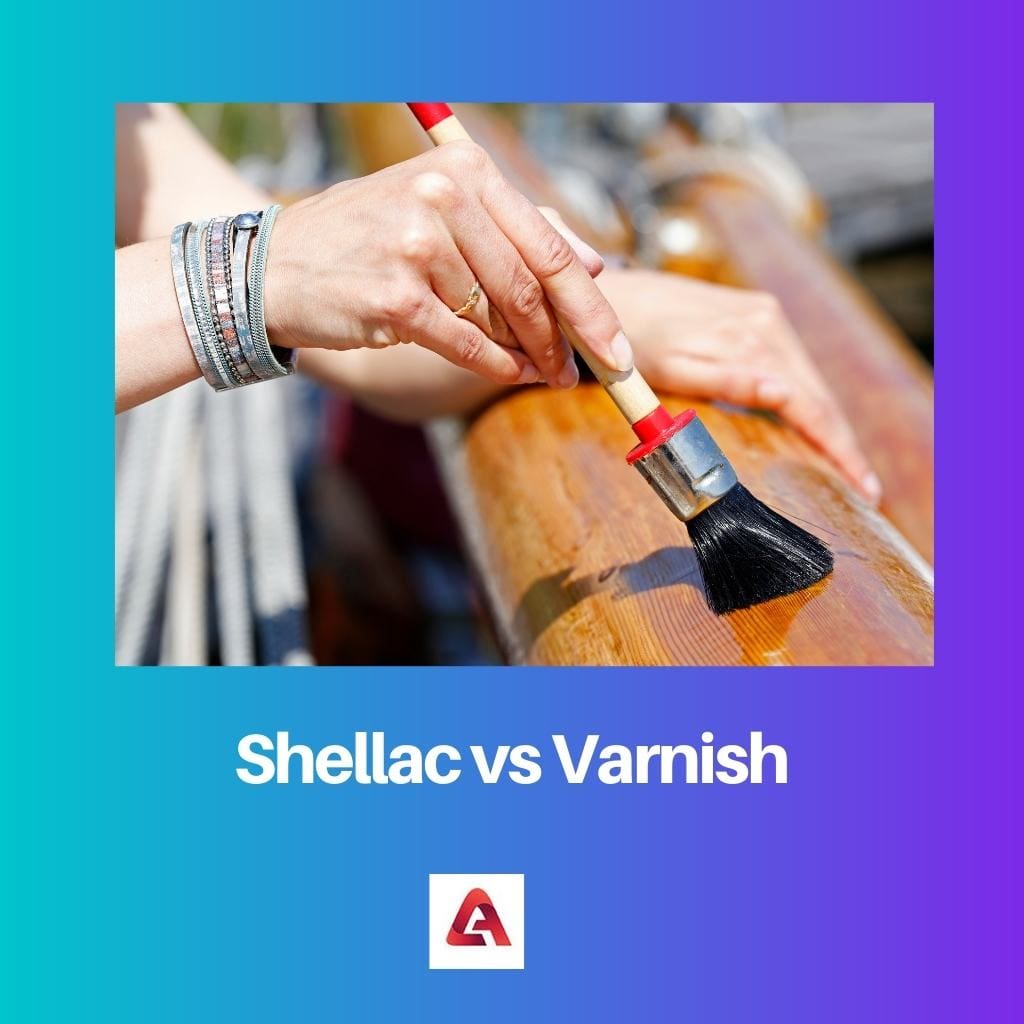 Shellac vs Varnish