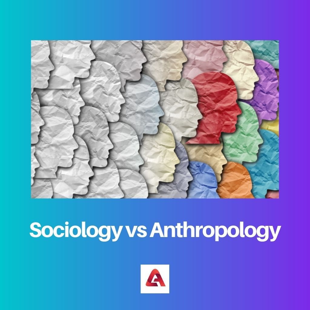 Sociology vs Anthropology