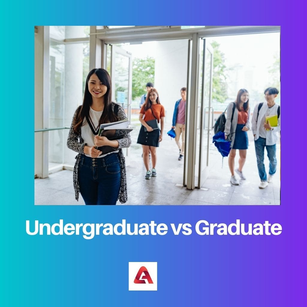Undergraduate vs Graduate