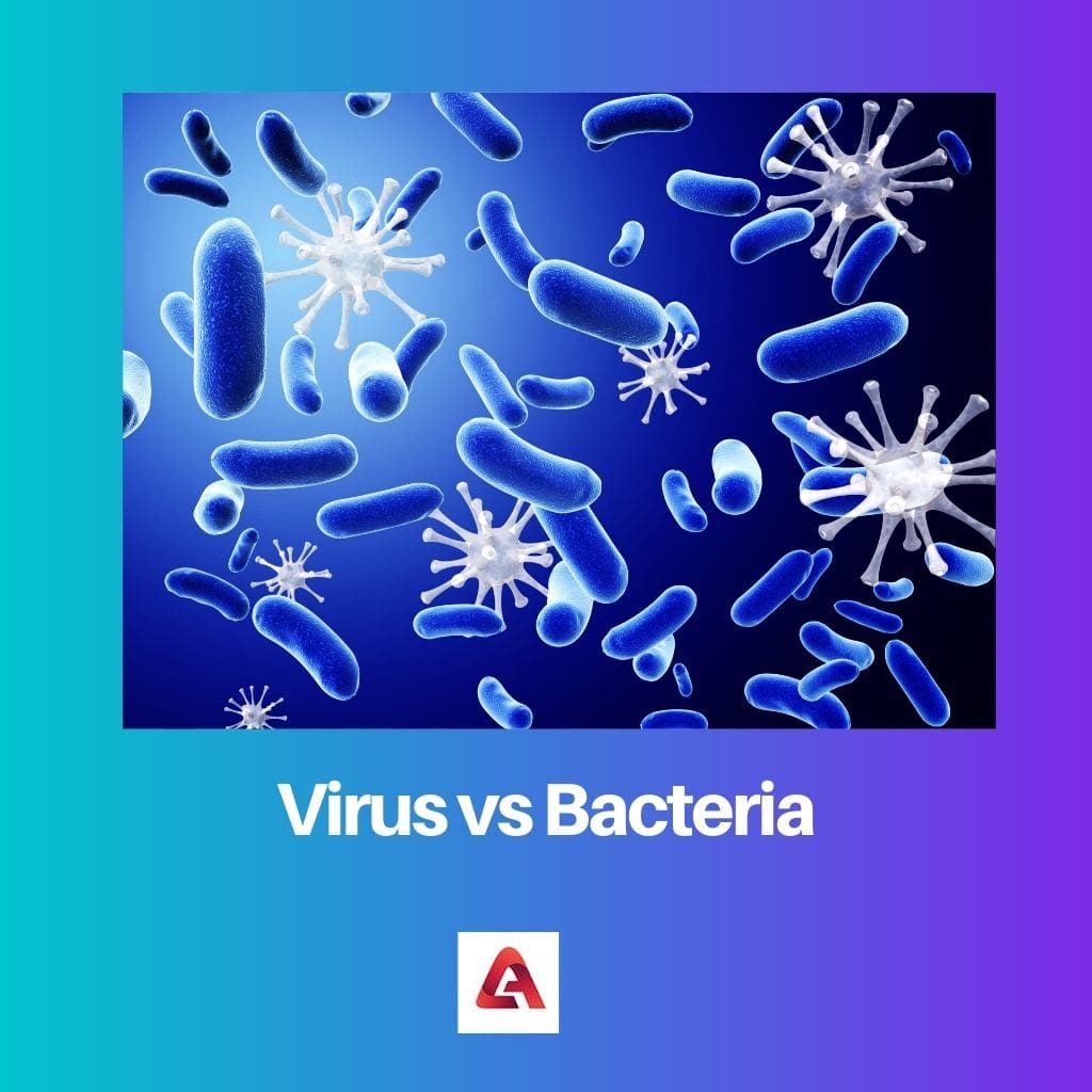 فيروس مقابل البكتيريا