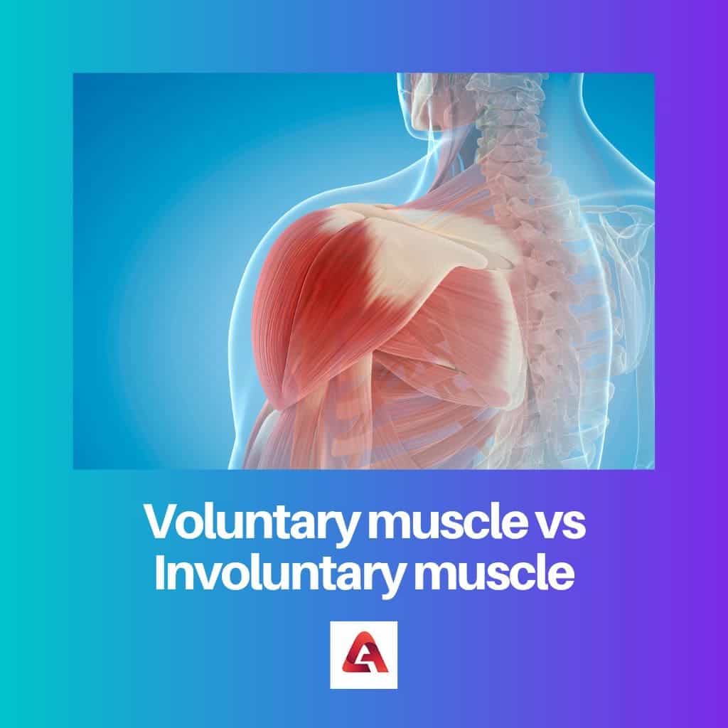 voluntary-vs-involuntary-muscle-difference-and-comparison