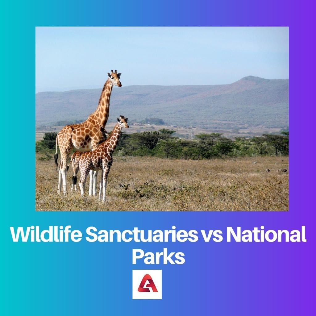 Wildlife Sanctuaries vs National Parks
