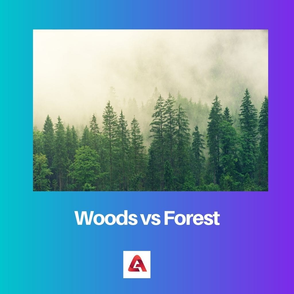 Bosque vs Floresta 2