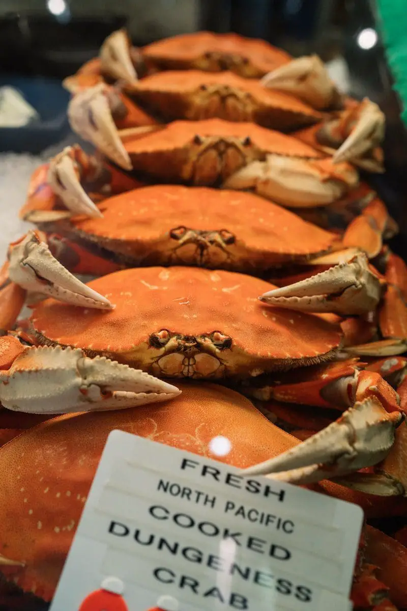 bairdi crabs