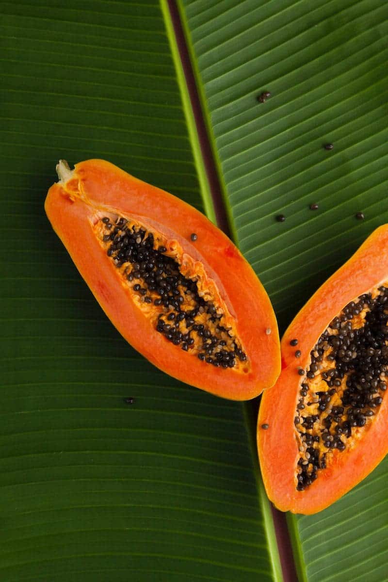 Papaya