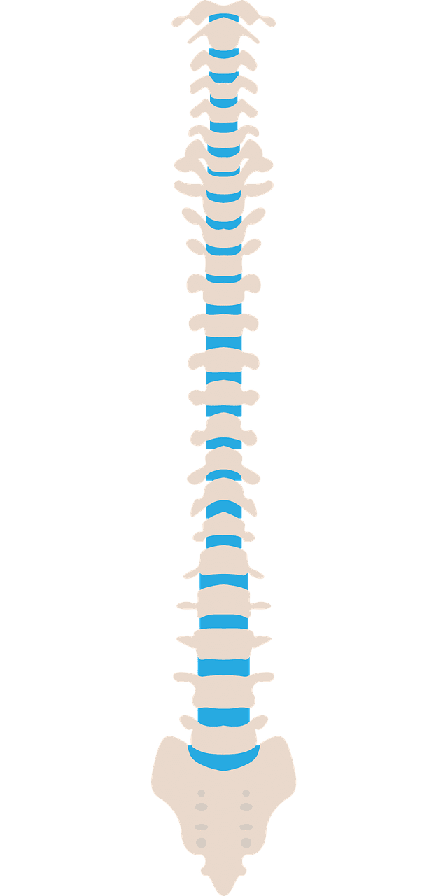 脊椎ブロック
