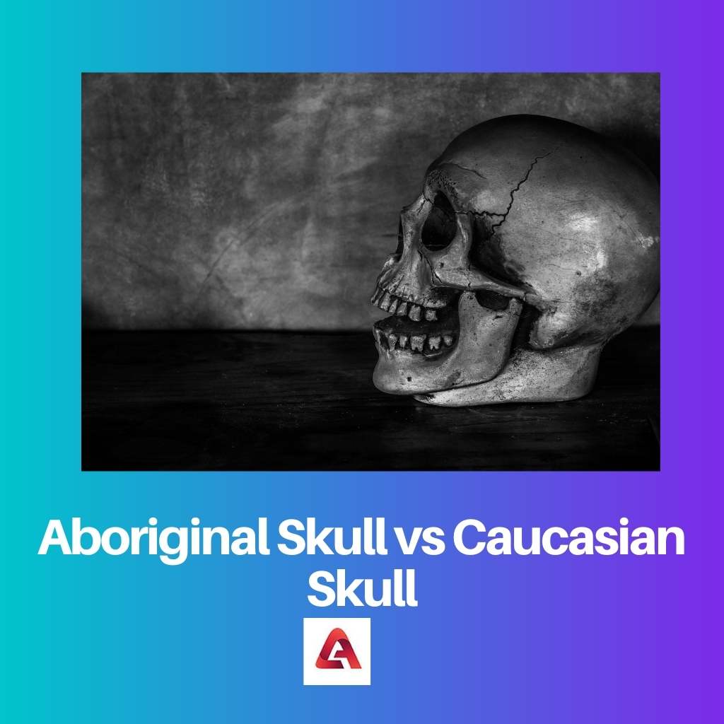 Aboriginal schedel versus Kaukasische schedel
