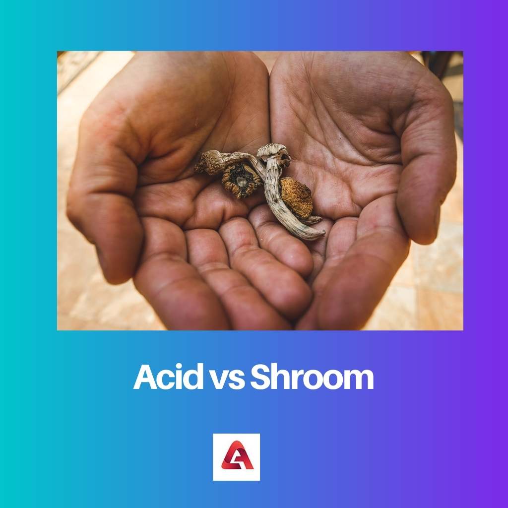 Acid εναντίον Shroom