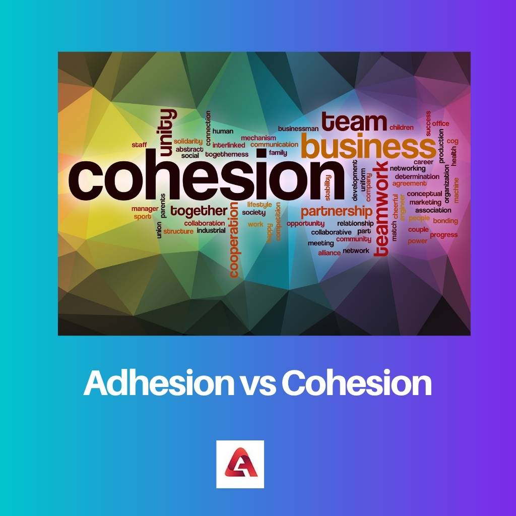 Adhesión vs Cohesión