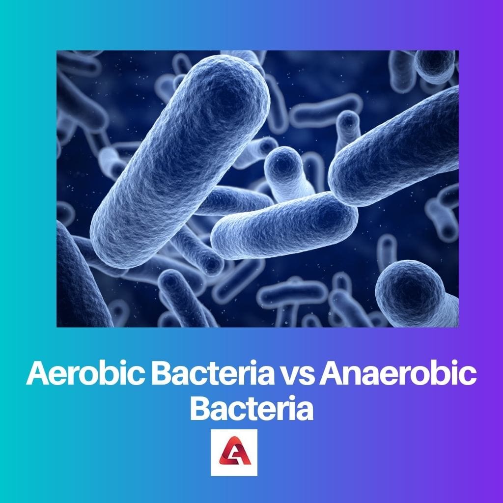 Aerobic Bacteria vs Anaerobic Bacteria