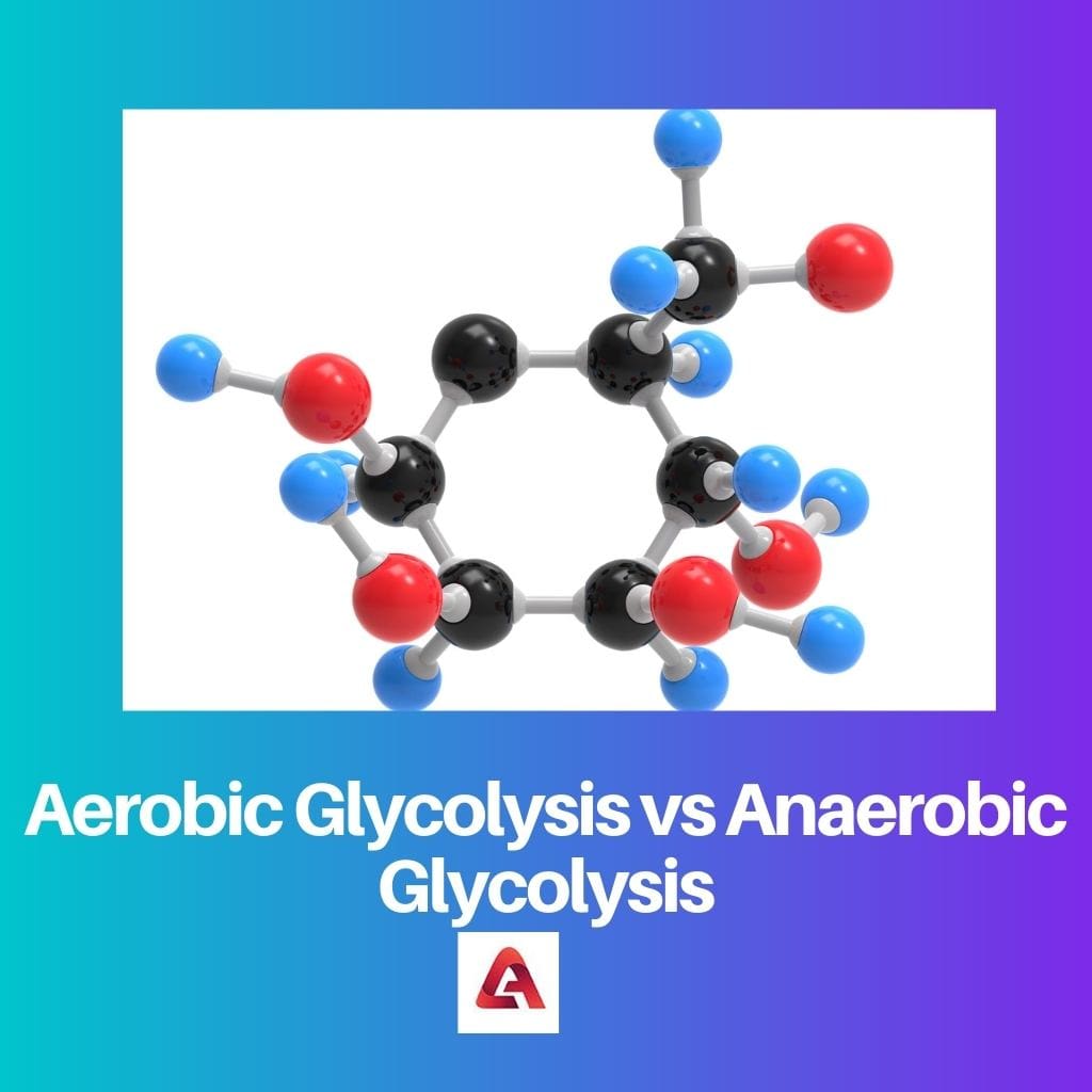 Aerobinen glykolyysi vs anaerobinen glykolyysi
