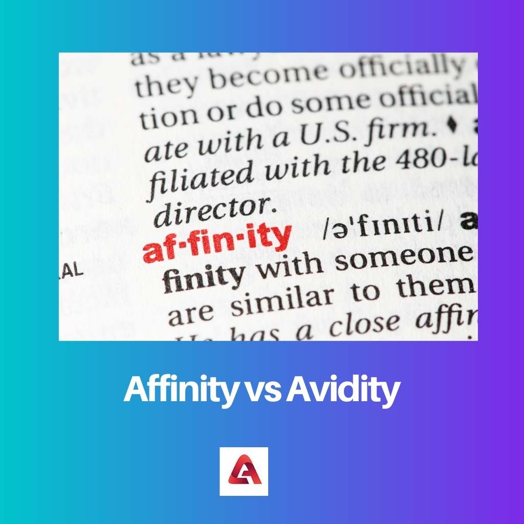 Affinity vs Avidity