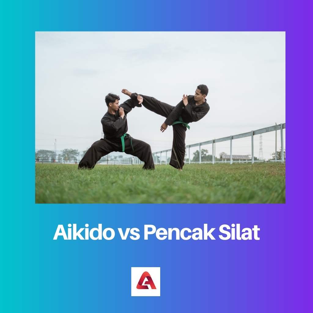 Aikido vs Pencak Silat