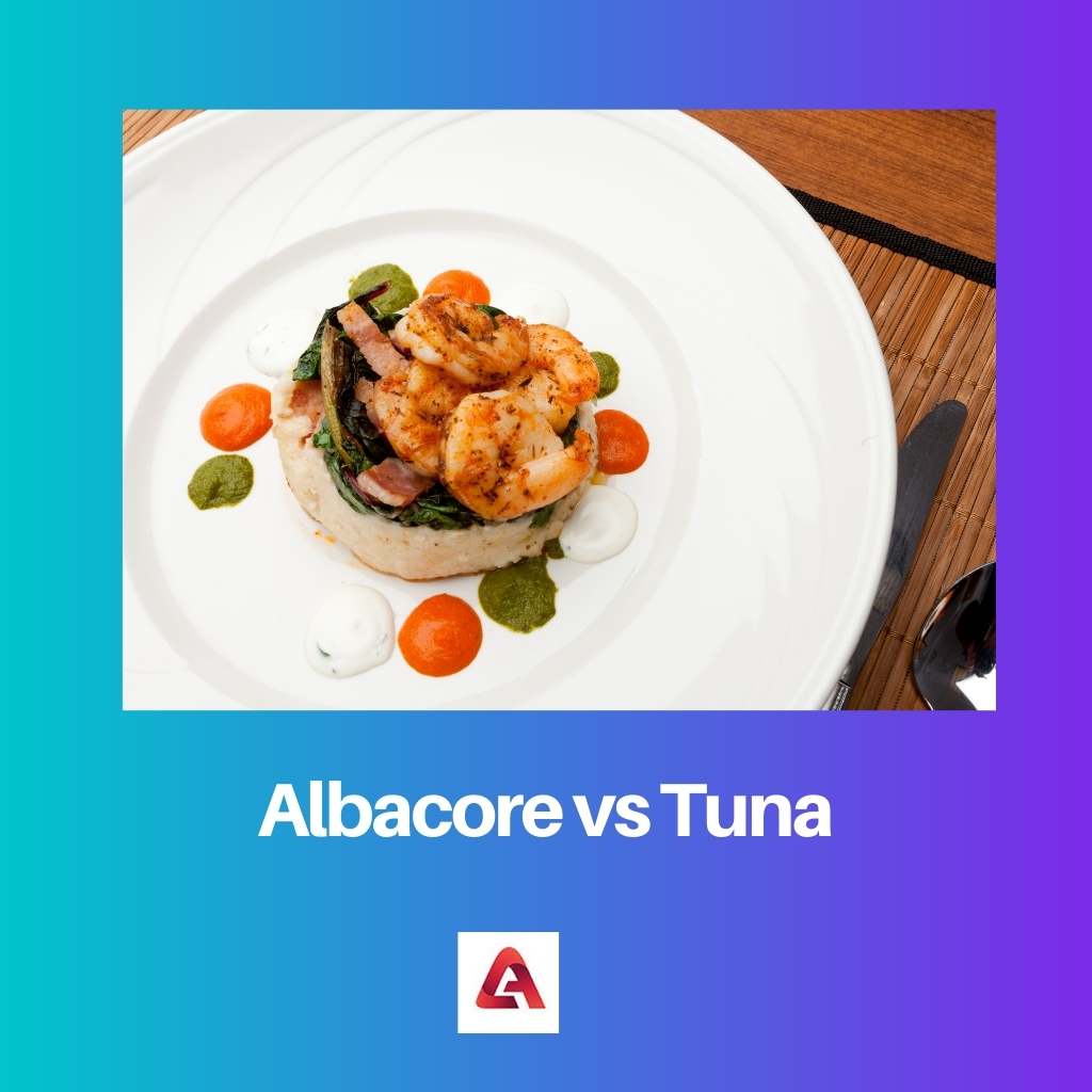 Albacore vs Tuna