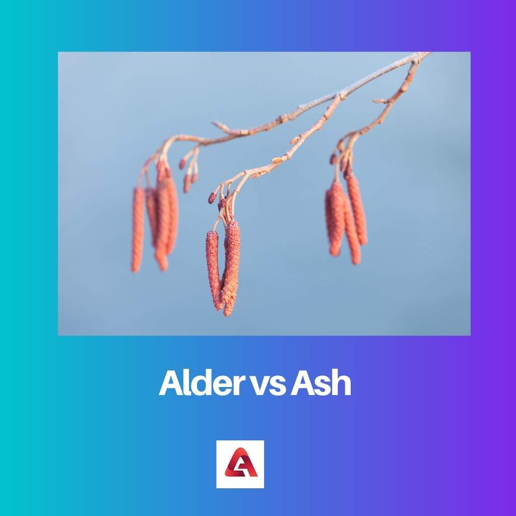 Alder vs Ash