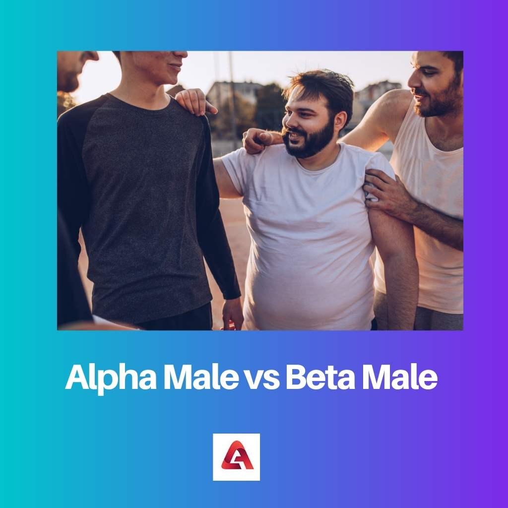 Alfa vīrietis pret beta vīrieti
