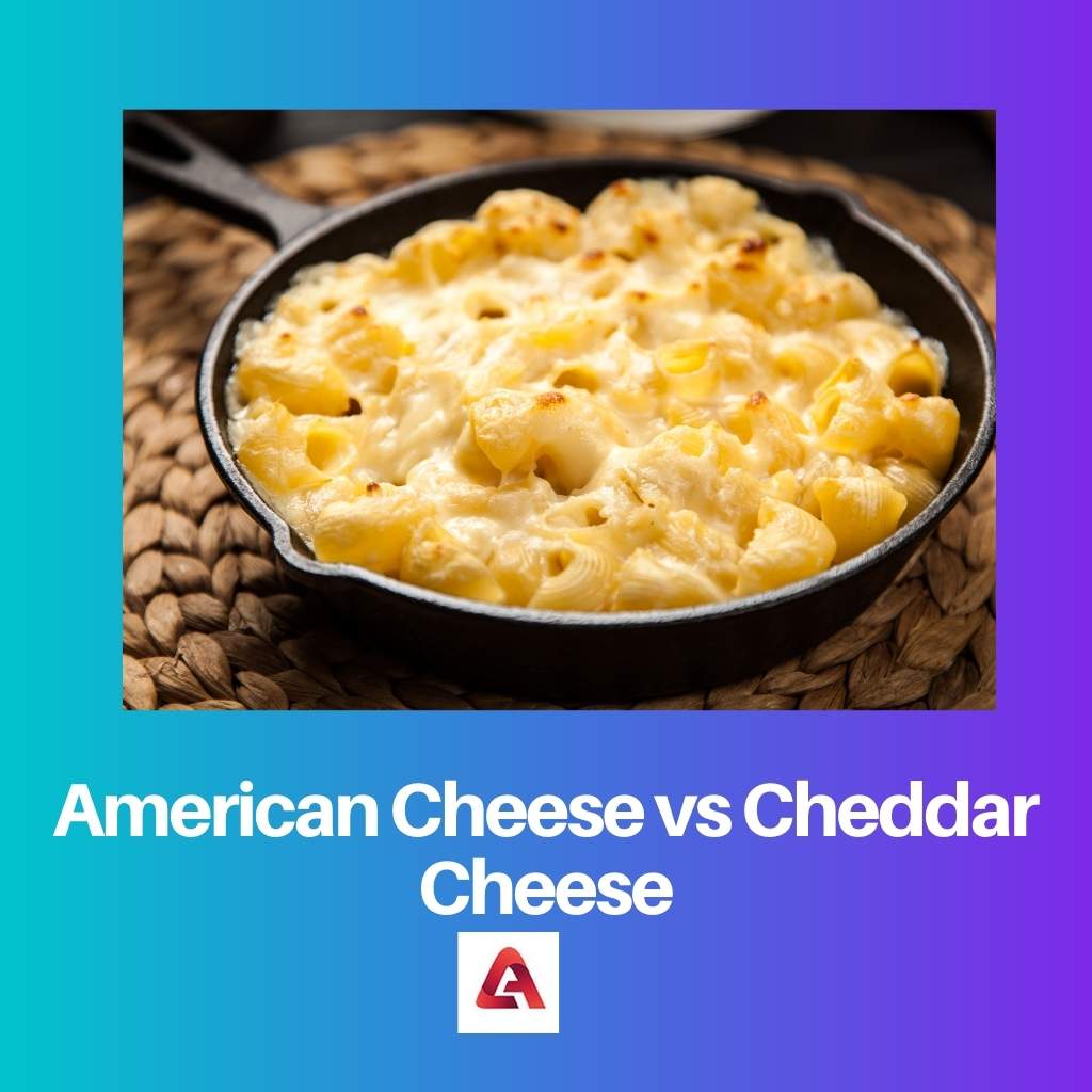 الجبن الأمريكي مقابل جبنة الشيدر