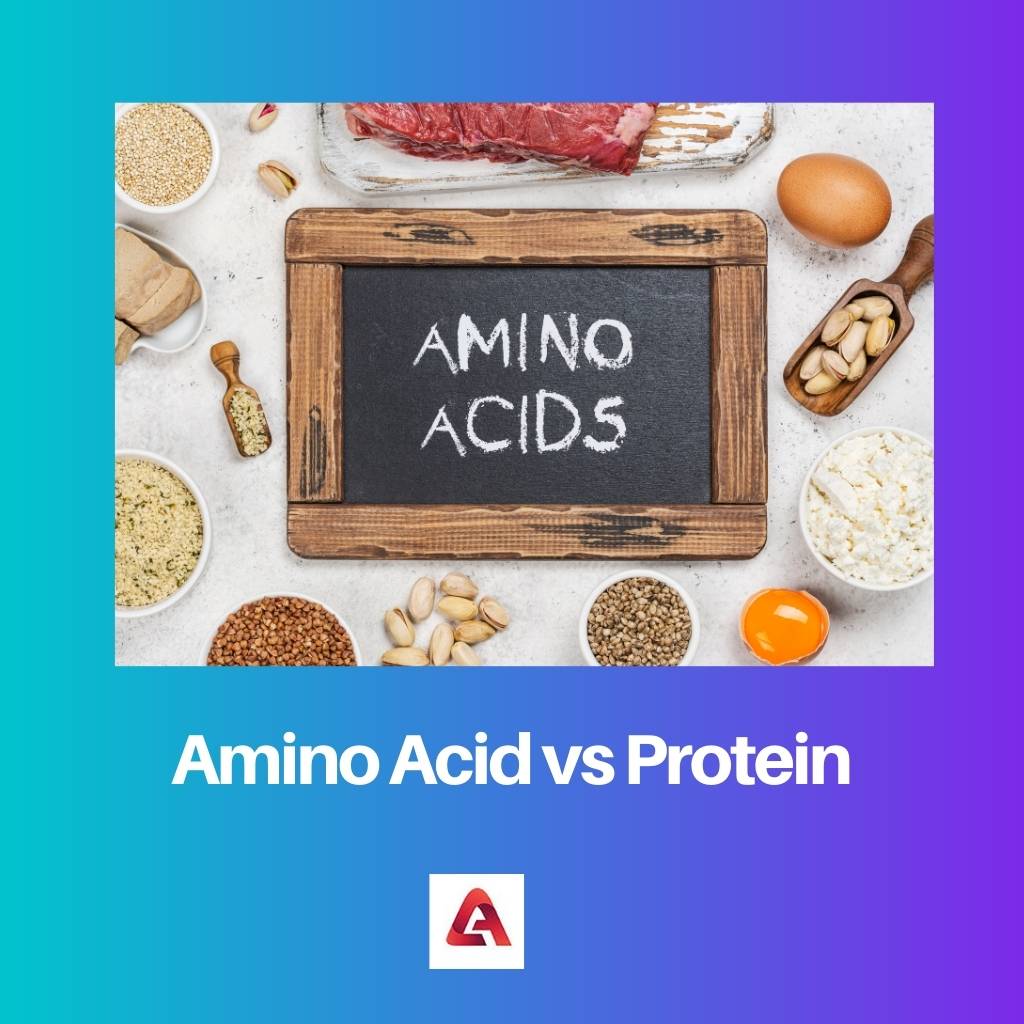 Aminozuur versus eiwit
