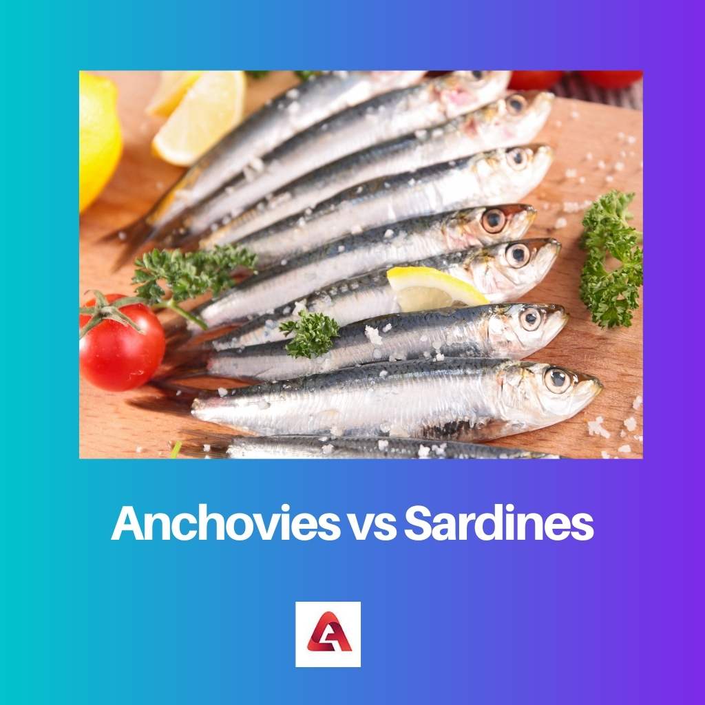 Anchovies vs Sardines