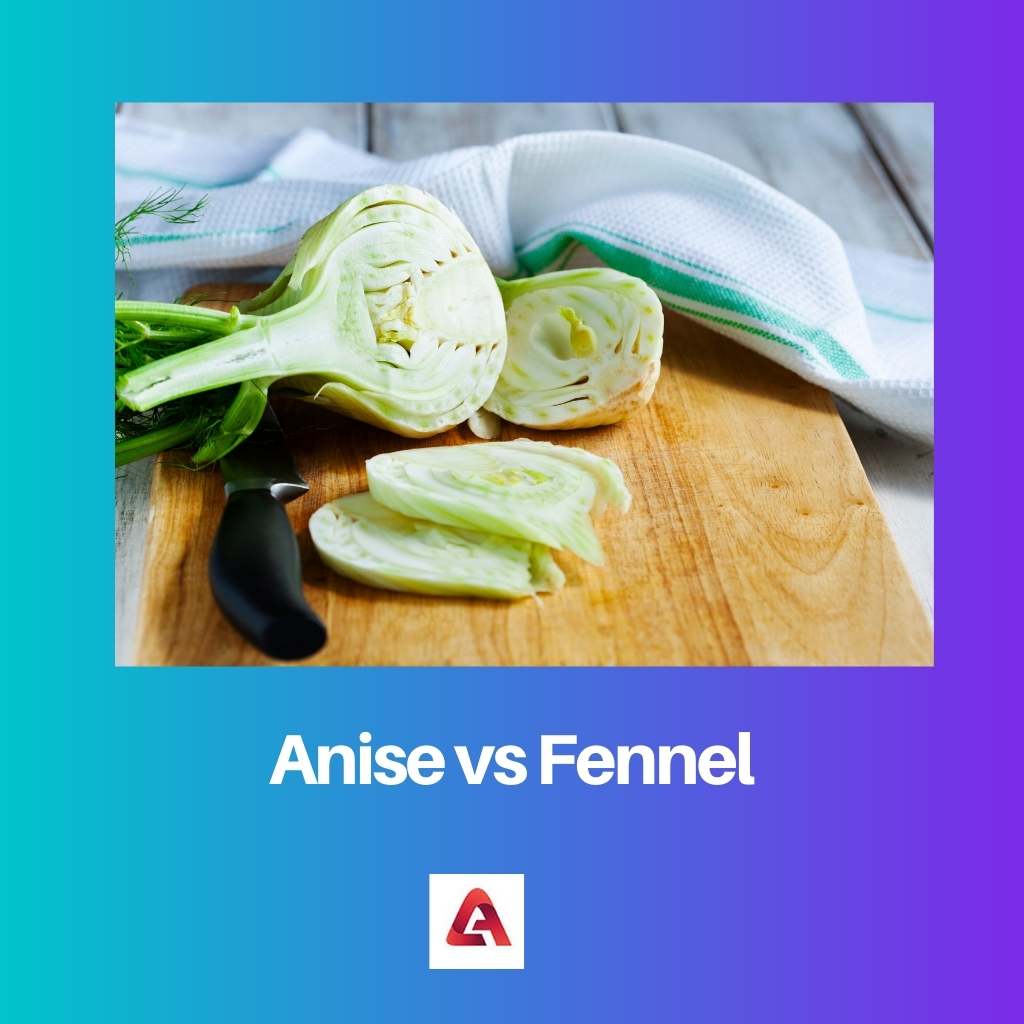 Anise vs Fennel
