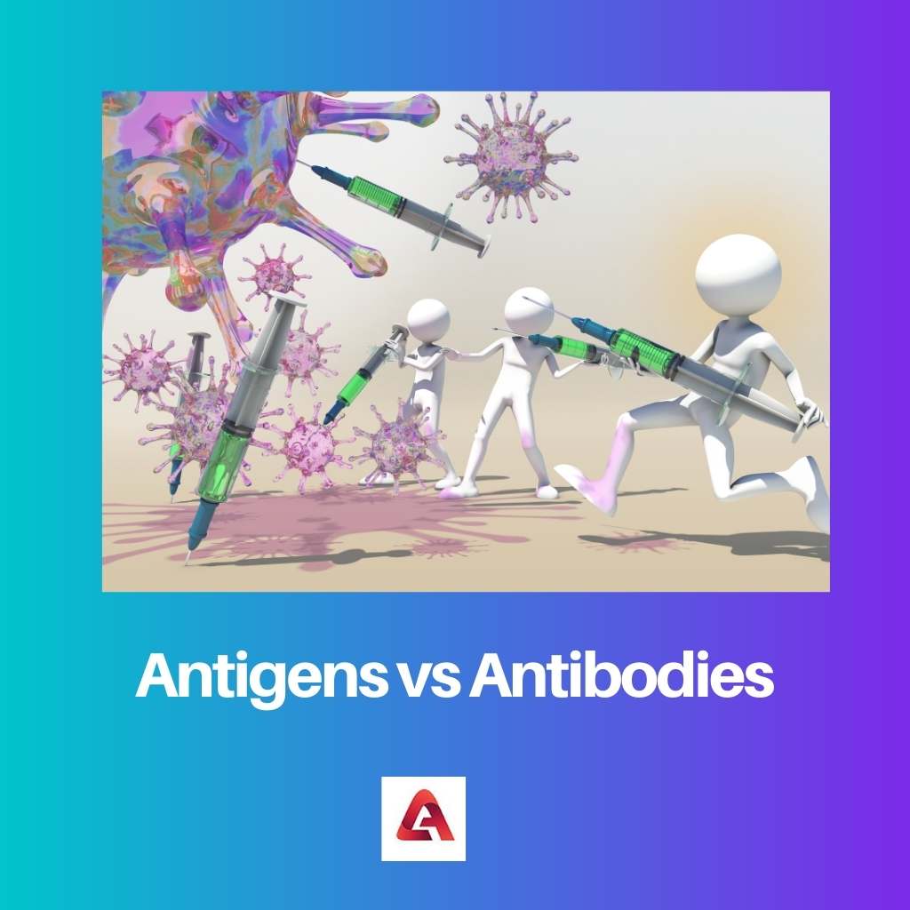 Antigeny vs protilátky