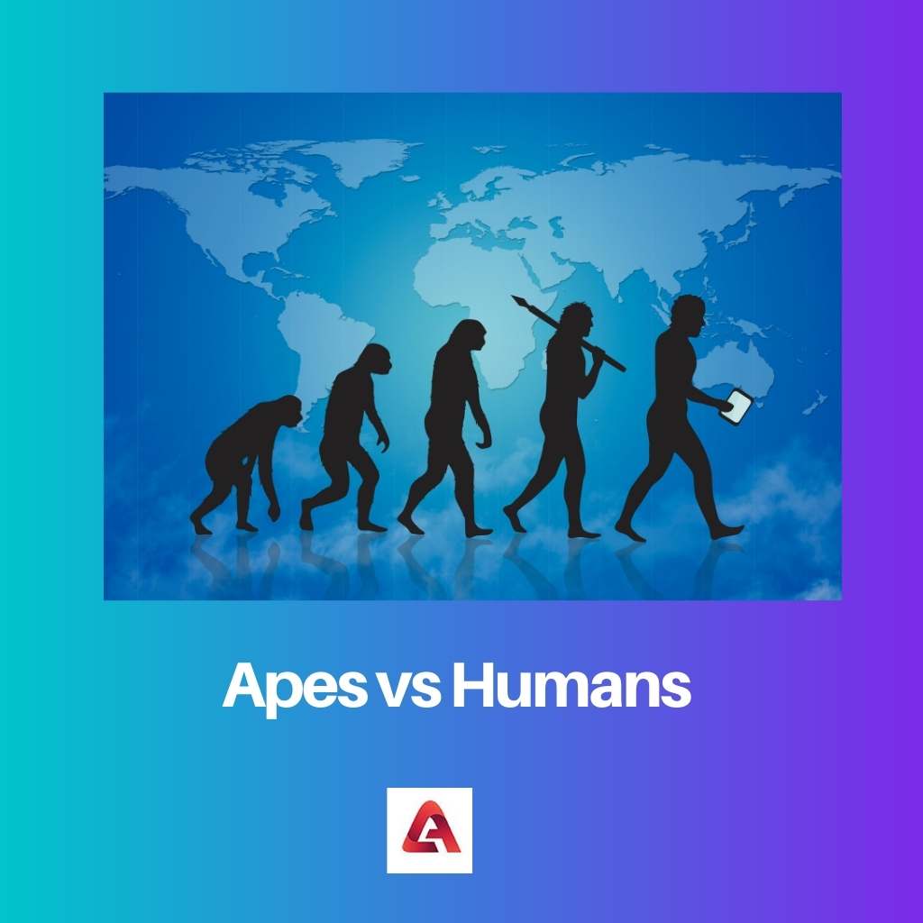 القرود مقابل البشر