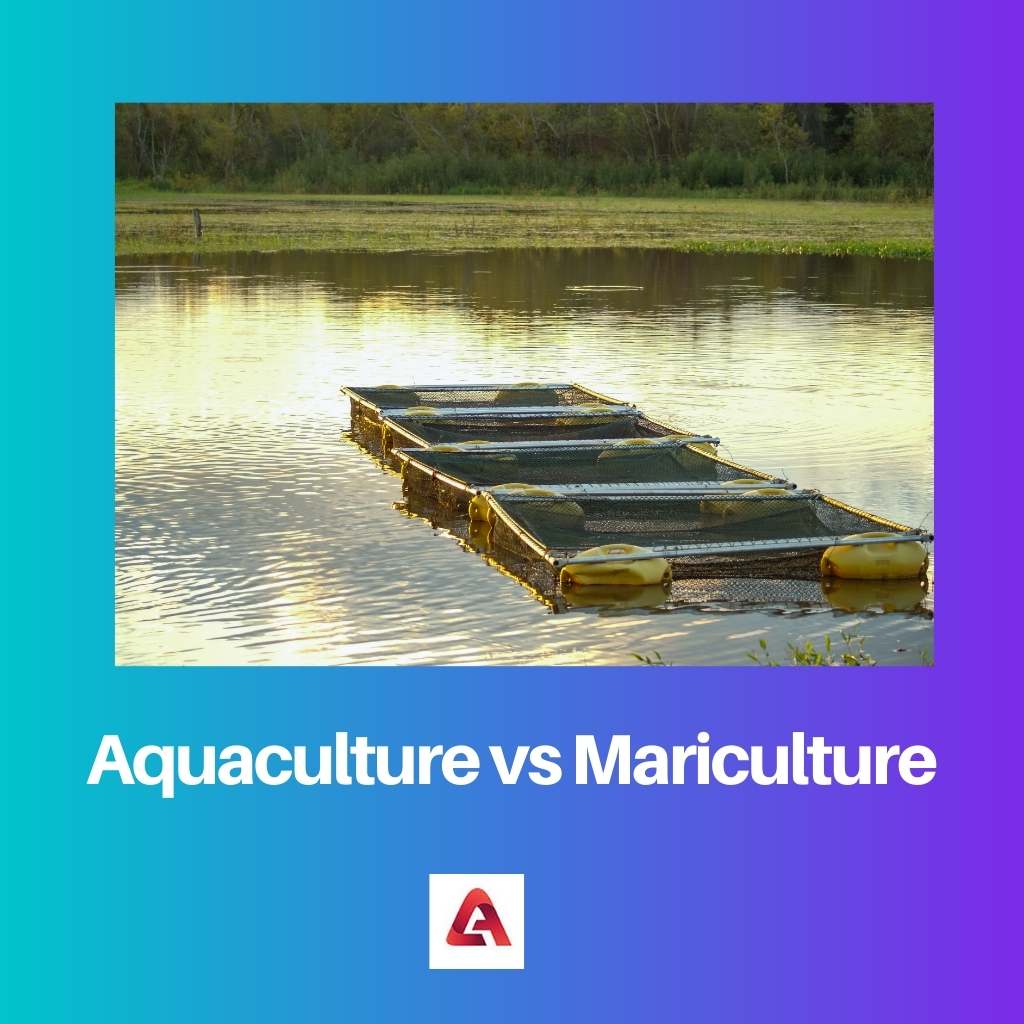 Acuicultura vs Maricultura