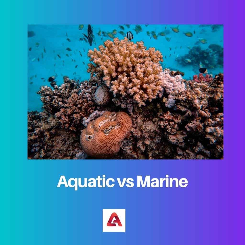 aquatic-vs-marine-difference-and-comparison