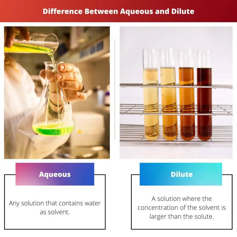Acquoso vs diluito - Differenza tra acquoso e diluito