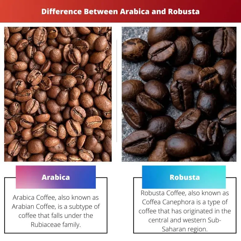 Arabica vs Robusta – Difference Between Arabica and Robusta