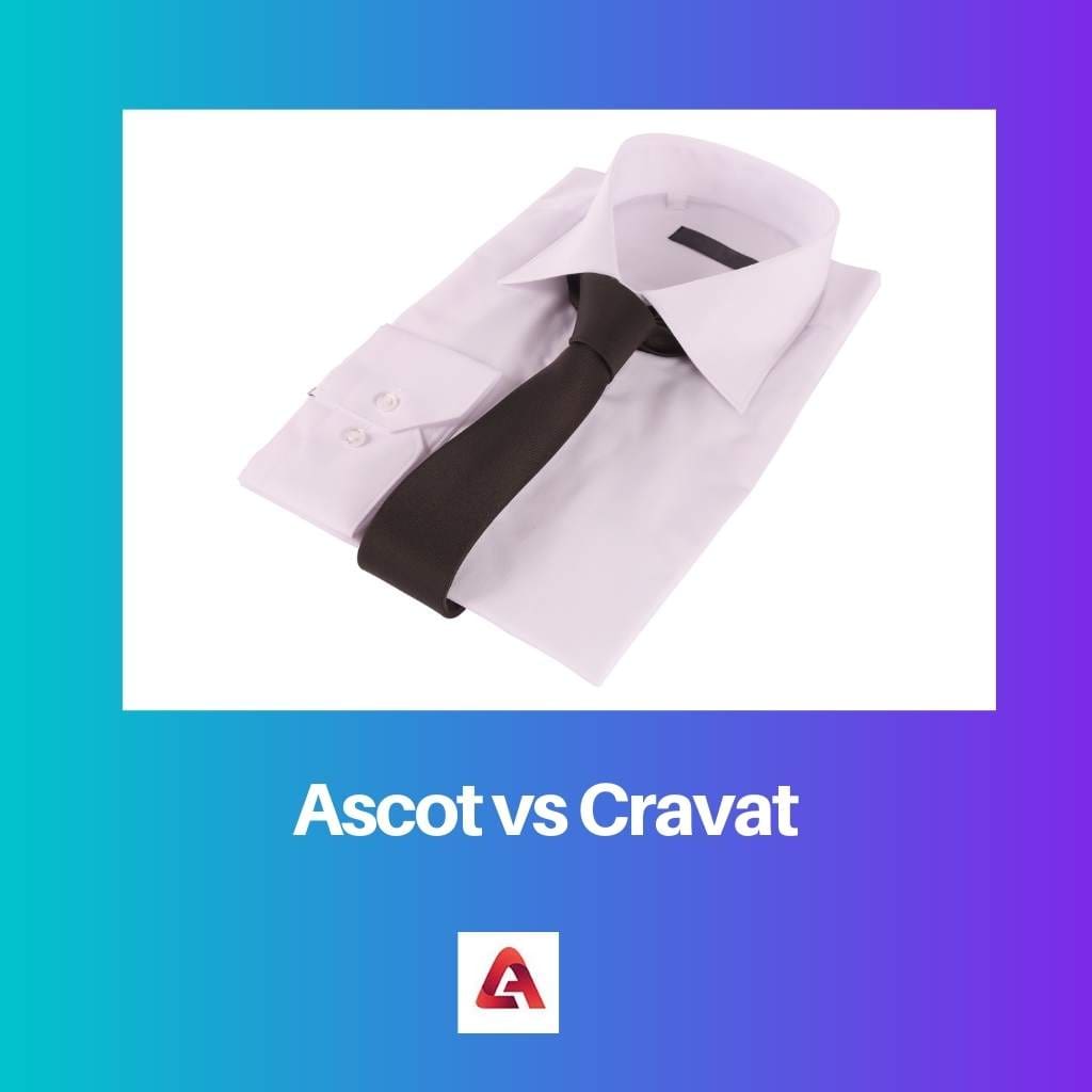 Ascot vs Cravatta