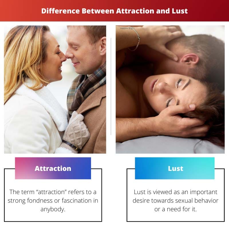 Attraction vs Lust – Difference Between Attraction and Lust