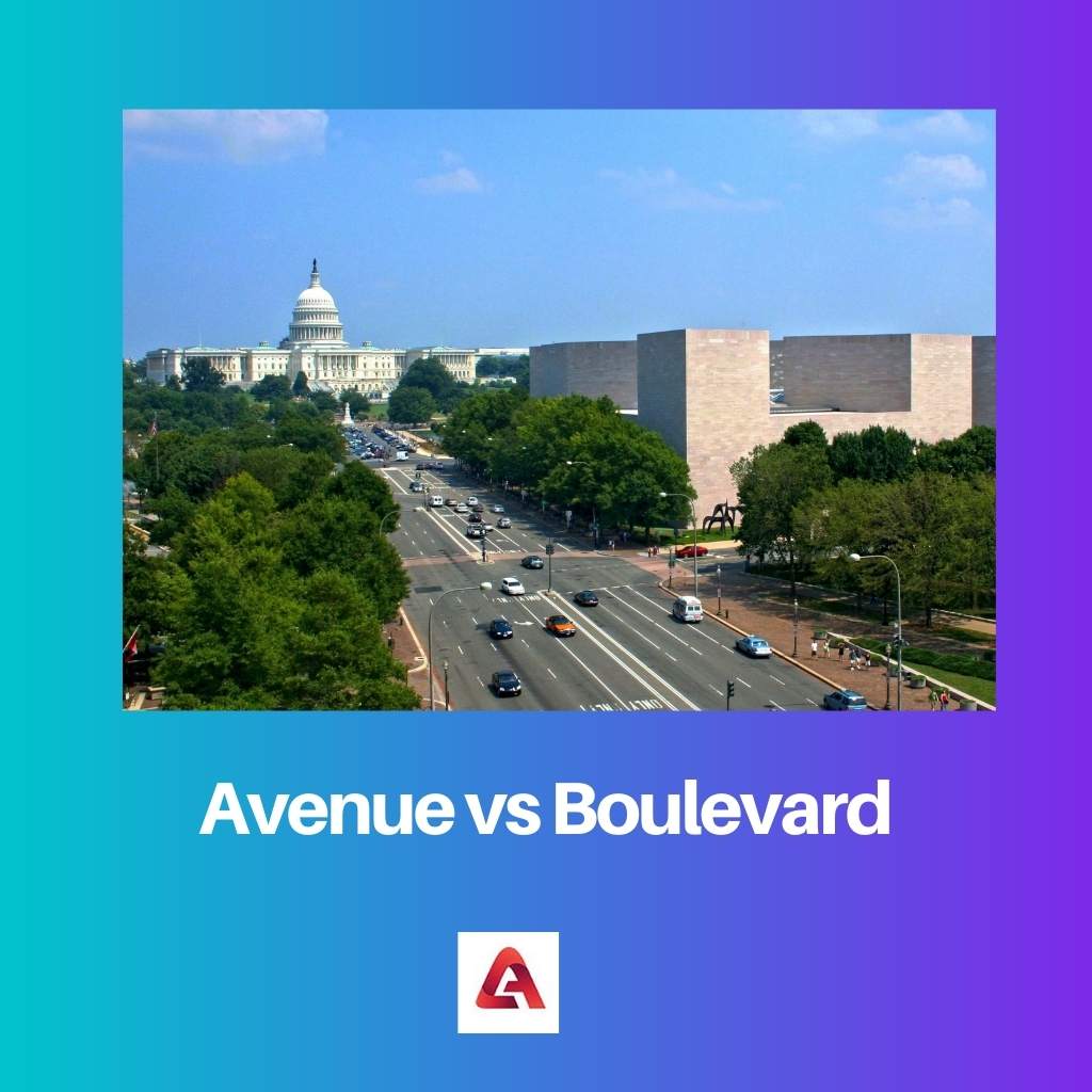 Avenida vs Bulevar