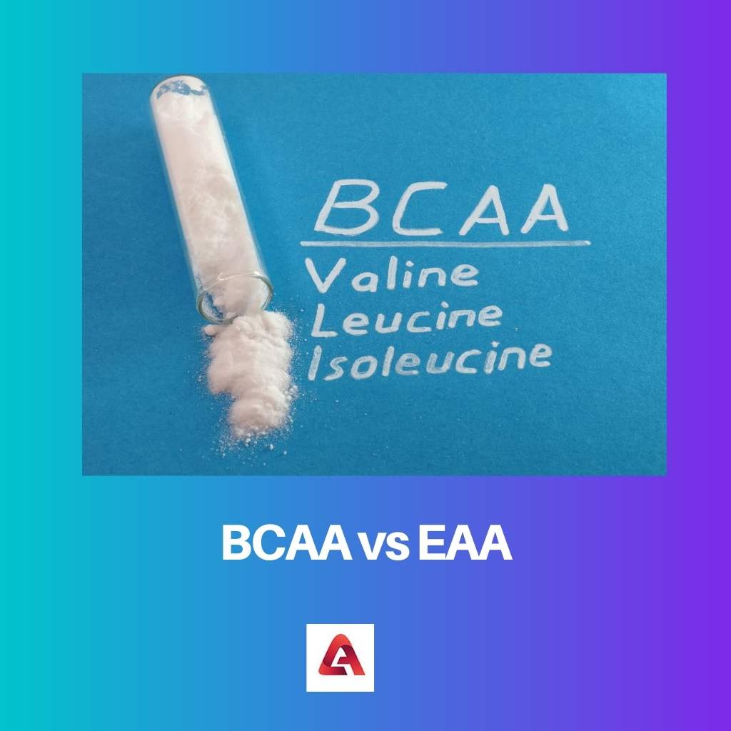 BCAA vs EAA