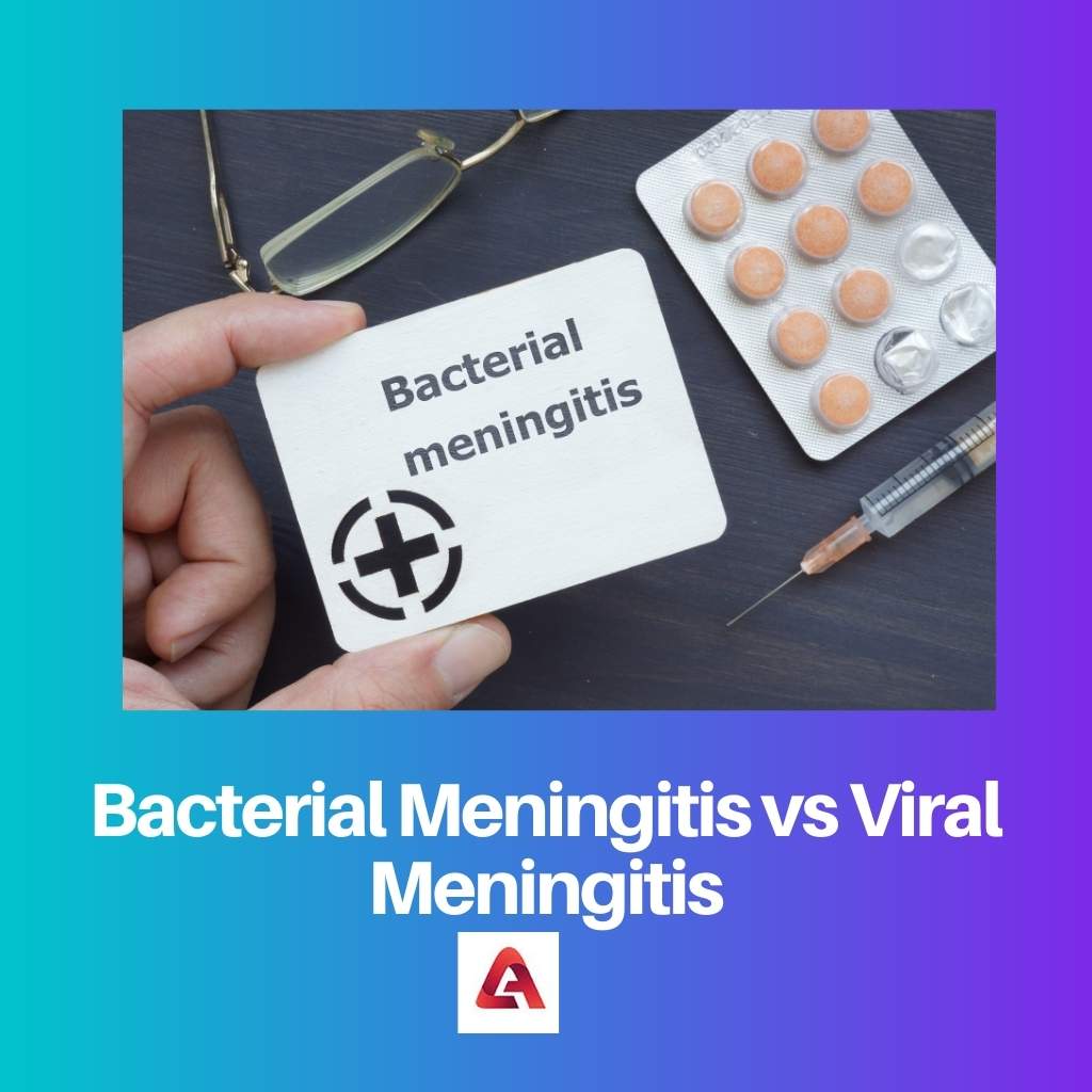 Bacterial Meningitis vs Viral Meningitis