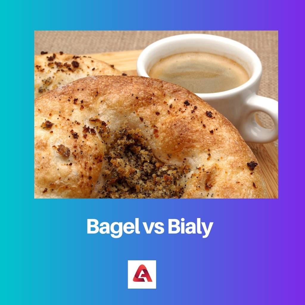 Bagel vs Bialy