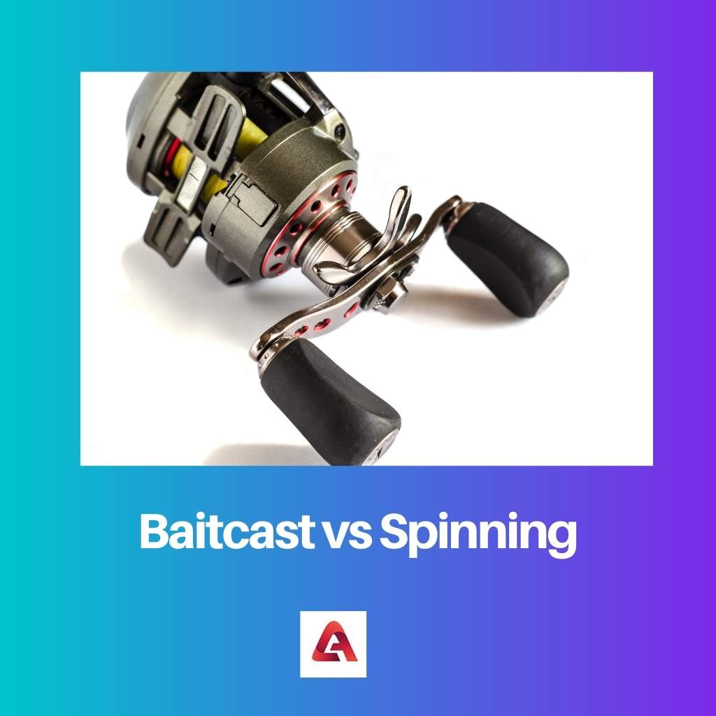 Baitcast gegen Spinning