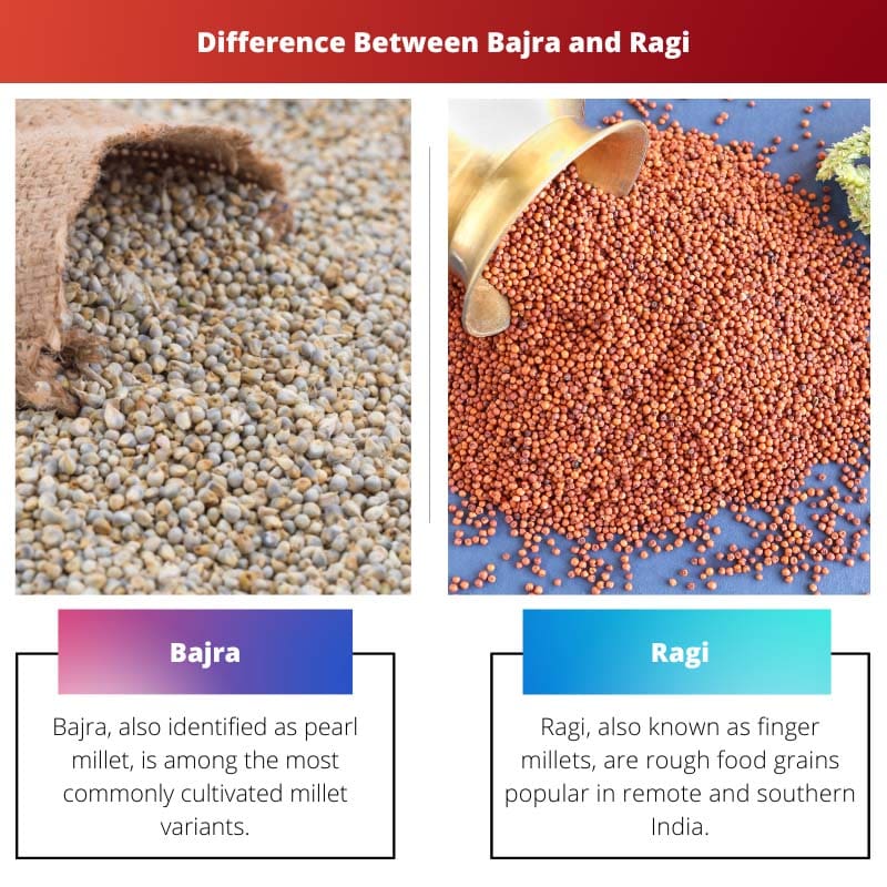 Bajra vs Ragi - Verschil tussen Bajra en Ragi