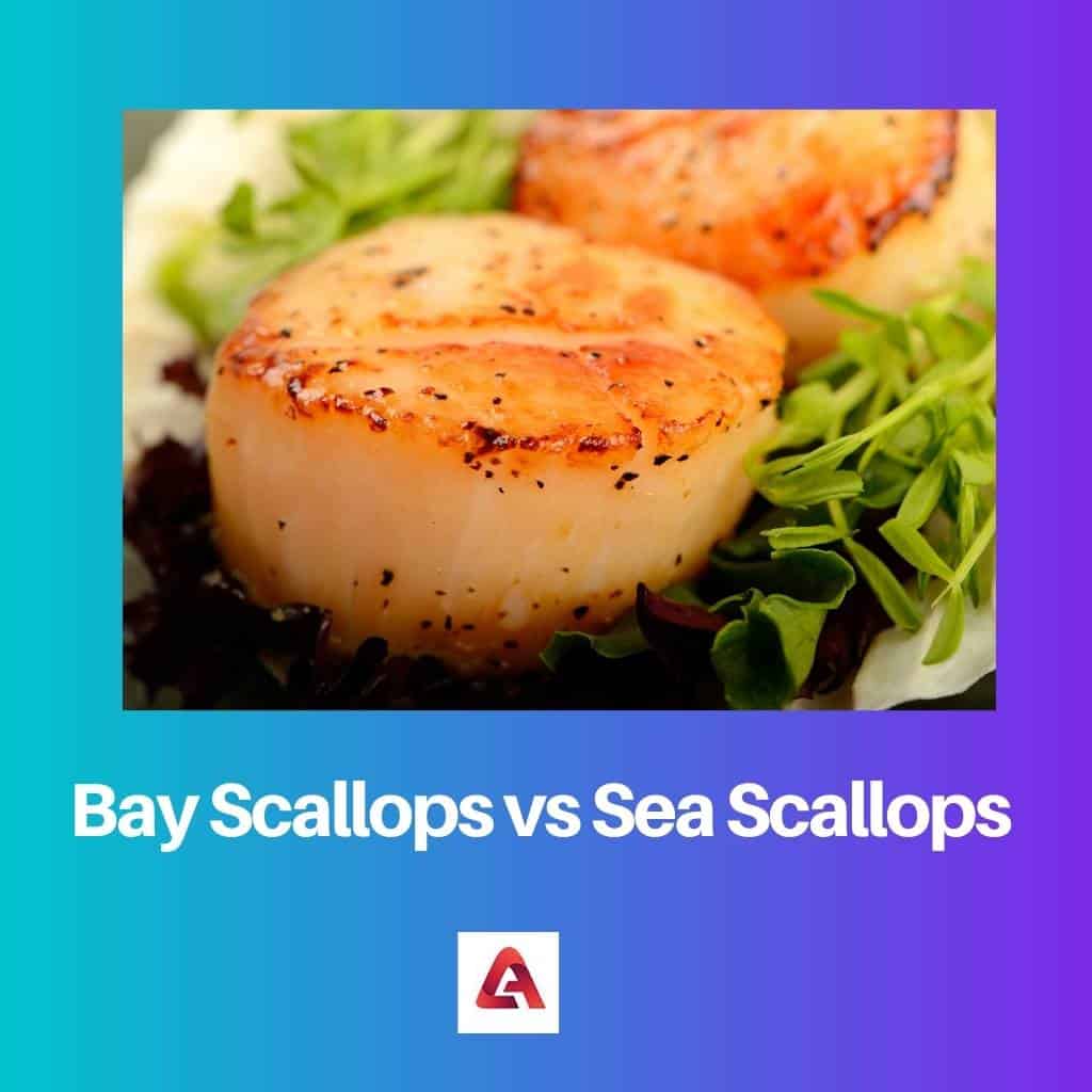 Bay Scallops Vs Sea Scallops  