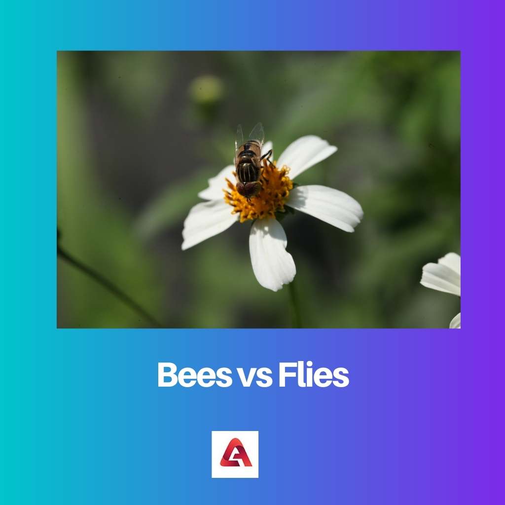 Bijen versus vliegen